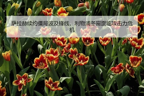 萨拉赫续约僵局波及锋线，利物浦冬窗面临攻击力危机