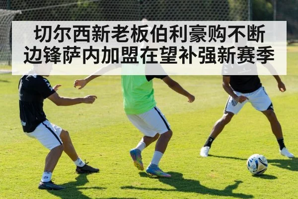 切尔西新老板伯利豪购不断 边锋萨内加盟在望补强新赛季